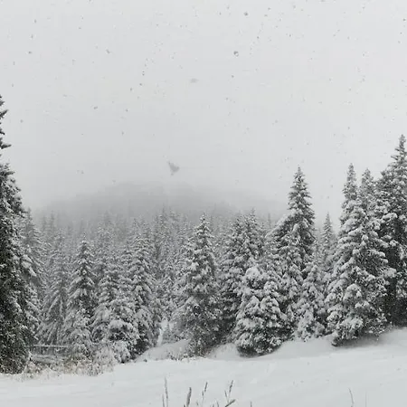 Panoramic Mountain View In Pine Hills * بامبوروفو