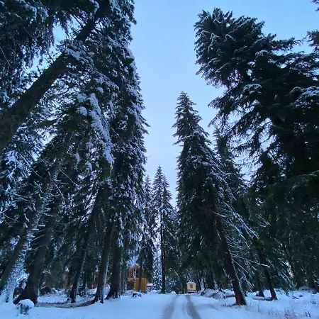 Panoramic Mountain View In Pine Hills شقة