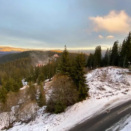 Panoramic Mountain View In Pine Hills アパート *