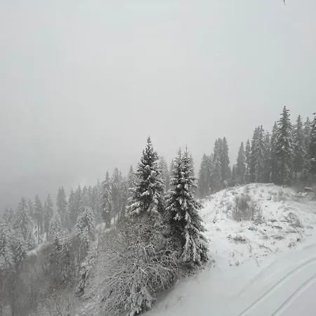 Panoramic Mountain View In Pine Hills شقة