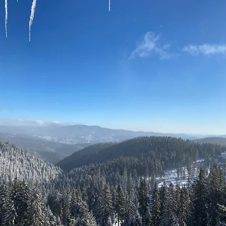Panoramic Mountain View In Pine Hills