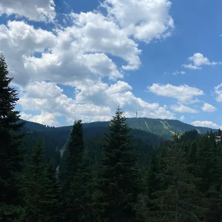 Panoramic Mountain View In Pine Hills شقة بامبوروفو