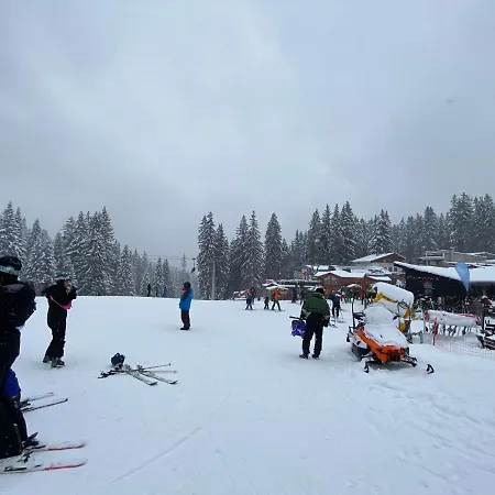 Panoramic Mountain View In Pine Hills * パンポロボ
