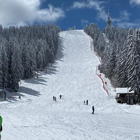 Panoramic Mountain View In Pine Hills * パンポロボ