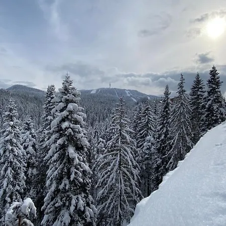 Panoramic Mountain View In Pine Hills アパート