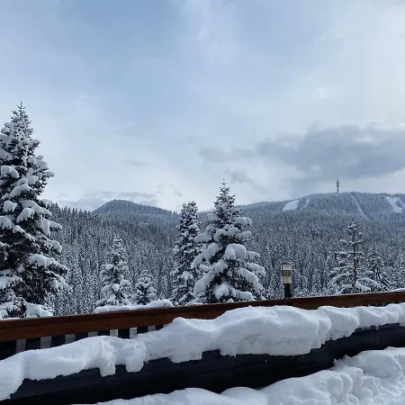 Panoramic Mountain View In Pine Hills